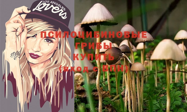 прущий лед Аркадак