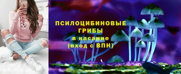 прущий лед Аркадак