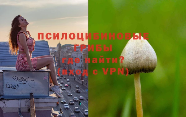 метадон Арсеньев