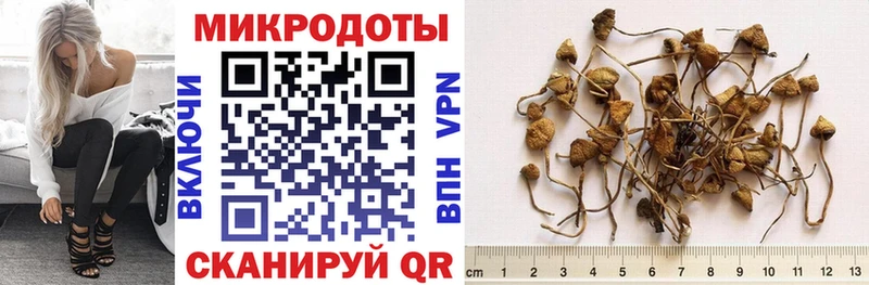 Псилоцибиновые грибы Psilocybine cubensis Купить Дальнереченск