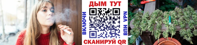 Бошки Шишки Amnesia  Купить закладки  Дальнереченск 